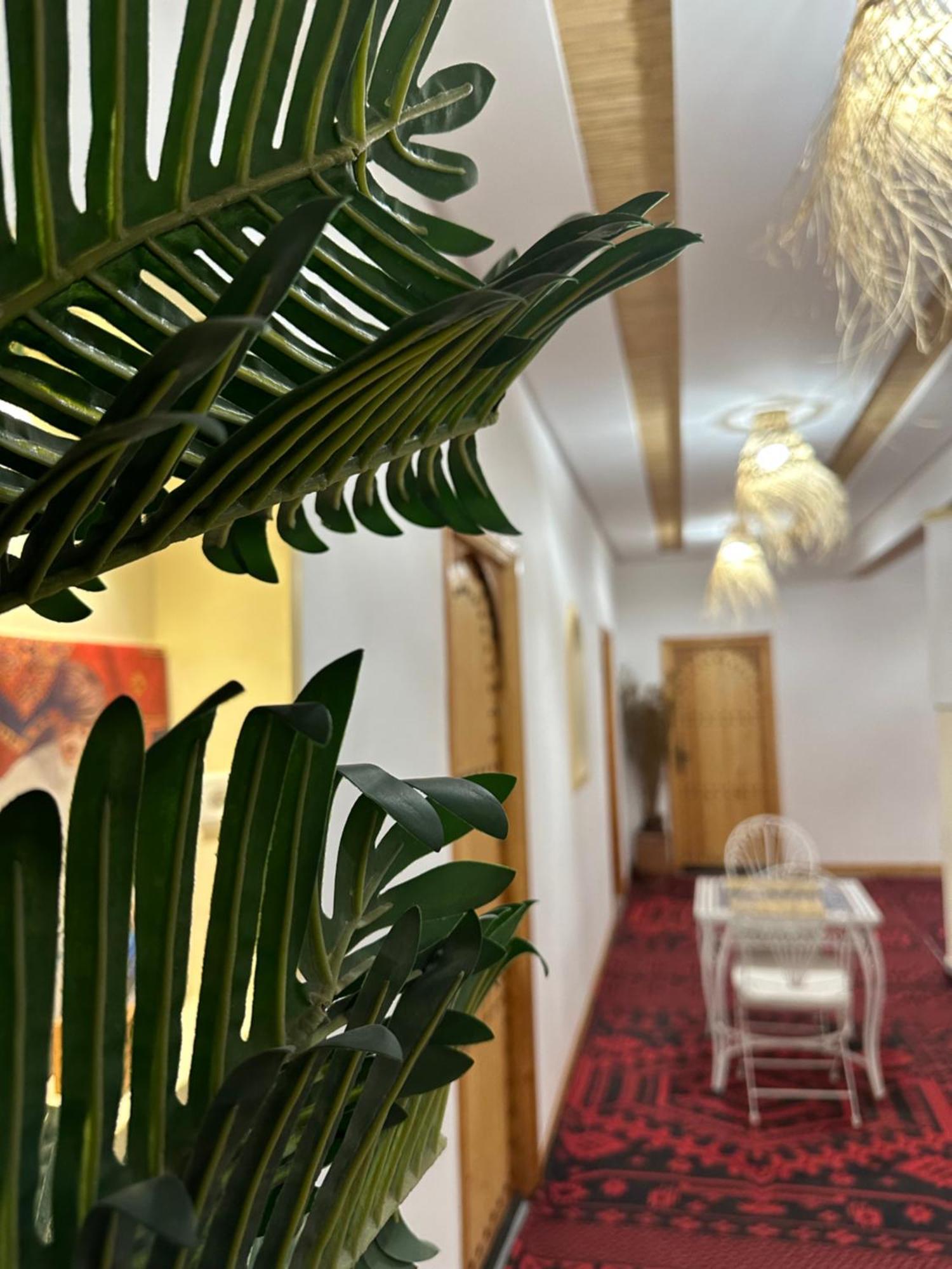 Riad Dreams Dades Tamellalt  Экстерьер фото
